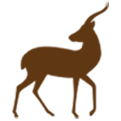 gazzele-tragelaphus-safari