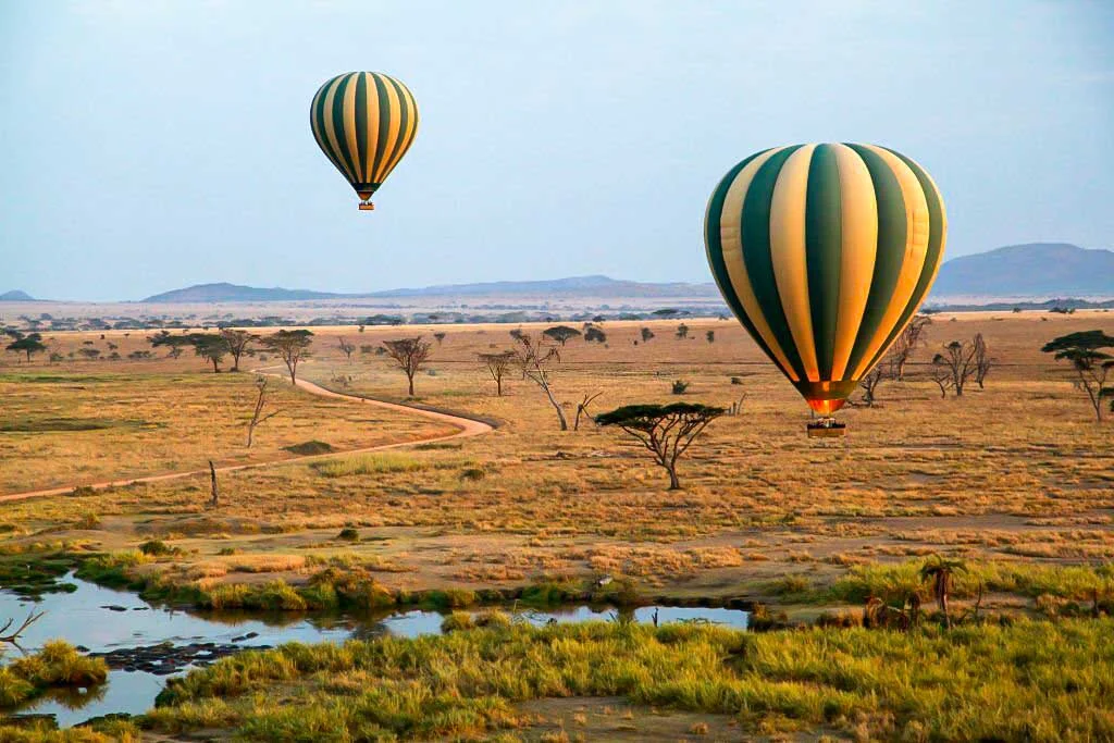 Serengeti-National-Park-Tragelaphus-Safari-and-tours